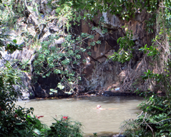 Alapena Pond at Kapena Falls