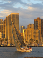 Honolulu Sailboat