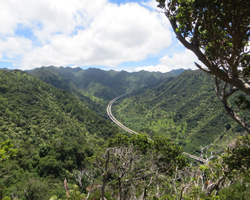 H3 Tunnel View Along Aiea Loop Trail