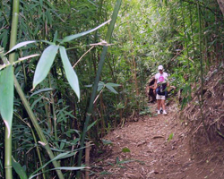 Friendship Garden Trail in Kaneohe, HI