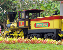 Pineapple Express Train at Dole Pineapple Plantation