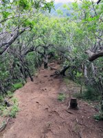 Waahila Ridge Trail Steepness