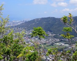 View of Honolulu from Waahila Ridge