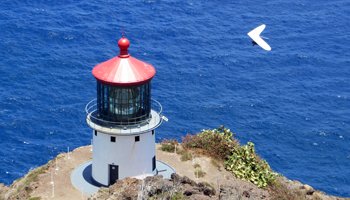 Hang Glider at Makapuu Lighthouse