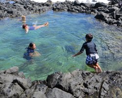 My Kids Swimming in Tide Pools Below Makapuu Lighthouse