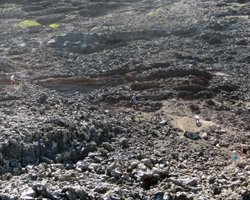 Tide Pool Trail at Makapuu Lighthouse