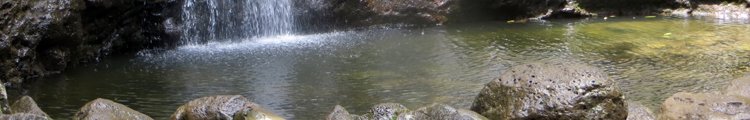 Manoa Falls Pond